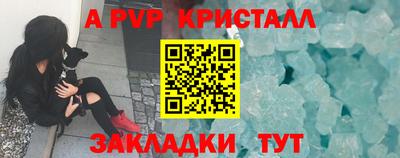 гашик Нальчик