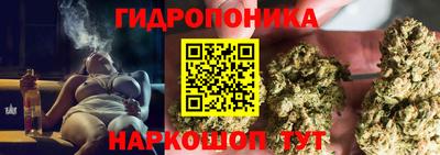 гашик Нальчик